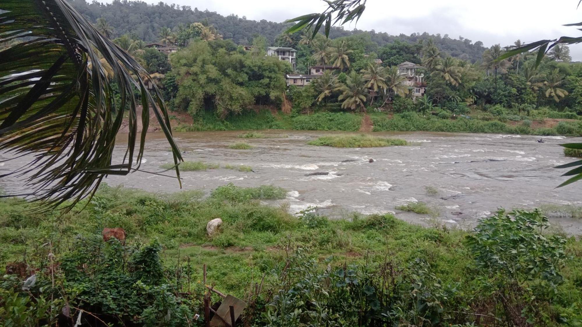 Kandy River Garden Экстерьер фото